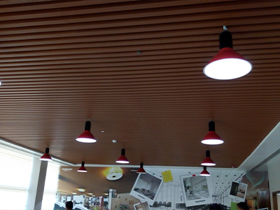 Linear Ceiling 1