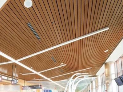 Lay-In Ceiling 2
