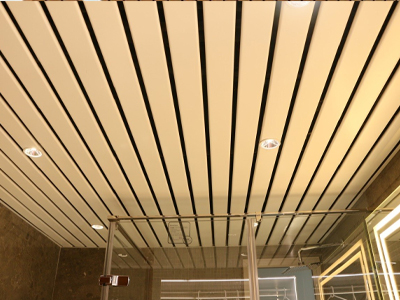 Lay-In Ceiling 3