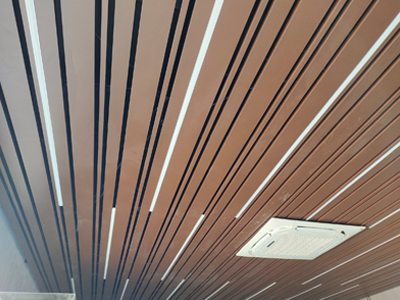 Lay-In Ceiling 4