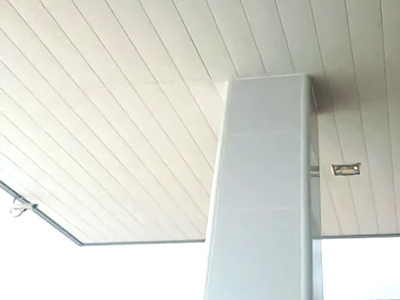 Clip-In Ceiling 1