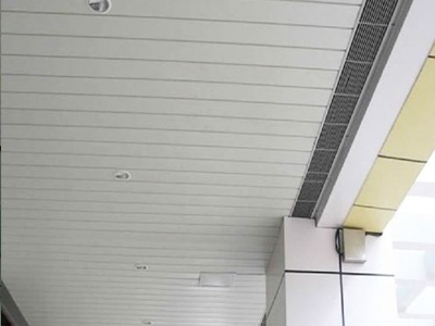 Clip-In Ceiling 4