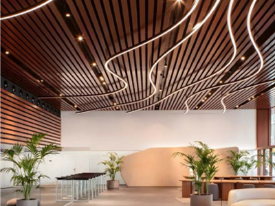 multi_s Ceiling 1